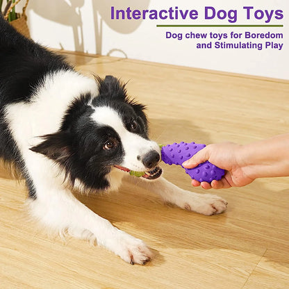 Squeaky Dog Toys for Aggressive Chewer Large Medium Small Breed Dog, Tough Durable Dog Chew Toys with Non-Toxic Natural Rubber for Teething (Eggplant-Radish)